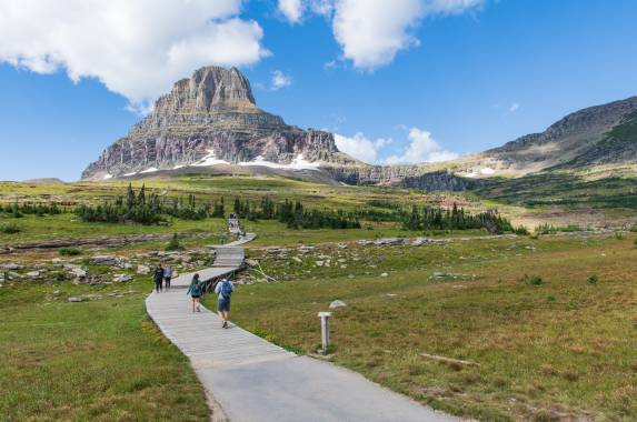 Yellowstone Walks & Wildlife
