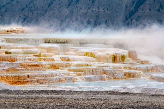 Yellowstone Walks & Wildlife
