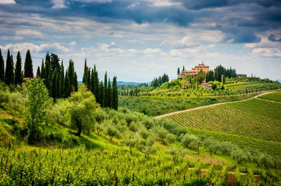 Tuscany Walks & Chianti Wines