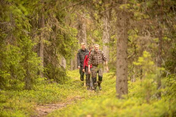 North Sweden: Active Summer Adventure