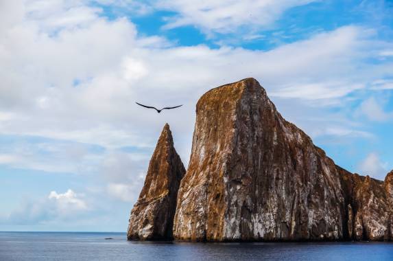 Galapagos: In Darwin’s Footsteps