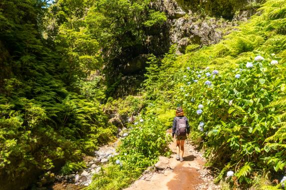 Madeira Discovery – Premium Adventure