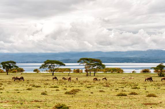 Kenya Safari Adventure