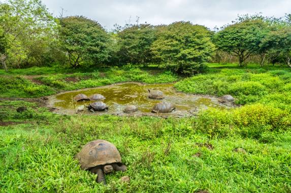 Highlights of Ecuador & the Galapagos