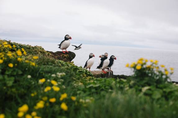 Iceland Circumnavigation: Helicopters, Glaciers and Volcanoes