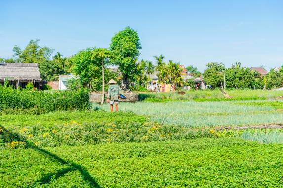 Vietnam Highlights