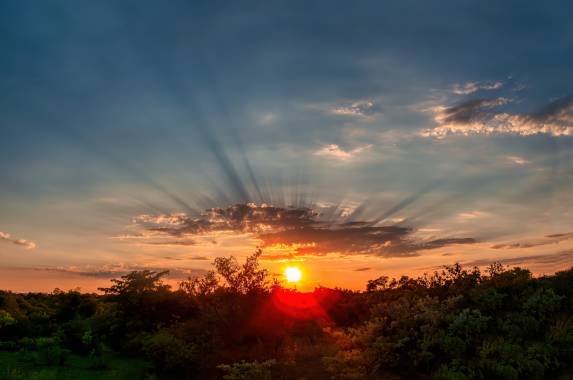 Kruger Safari Highlights – Premium Adventure