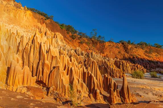 Wild Madagascar