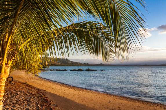 Wild Madagascar