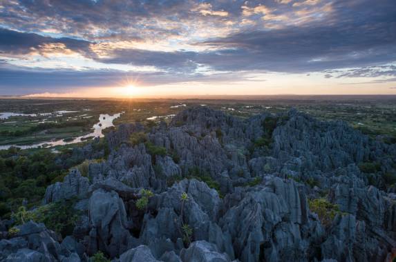 Wild Madagascar