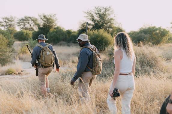 Kruger Safari Highlights – Premium Adventure