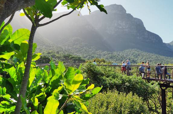 Best of the Garden Route – Premium Adventure
