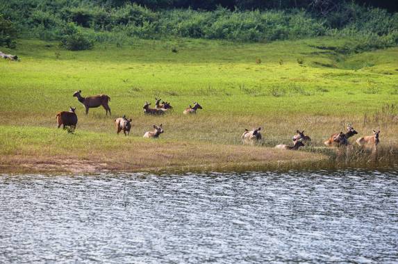 Highlights of Kerala