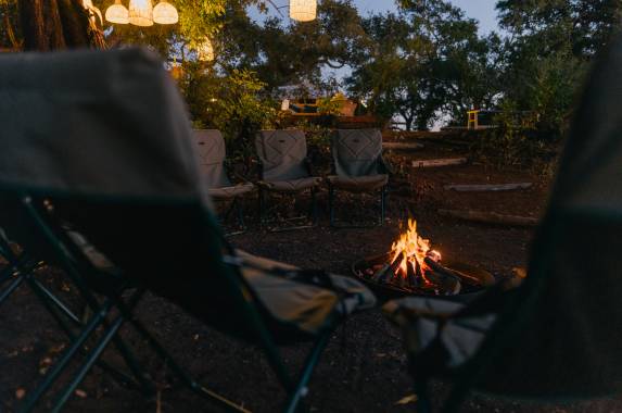 Kruger Safari Highlights – Premium Adventure