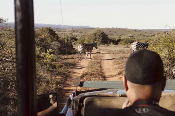 Discover South Africa’s Garden Route