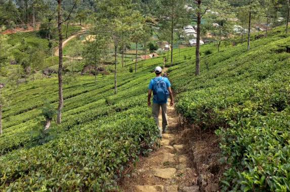 Hike Sri Lanka’s Pekoe Trail