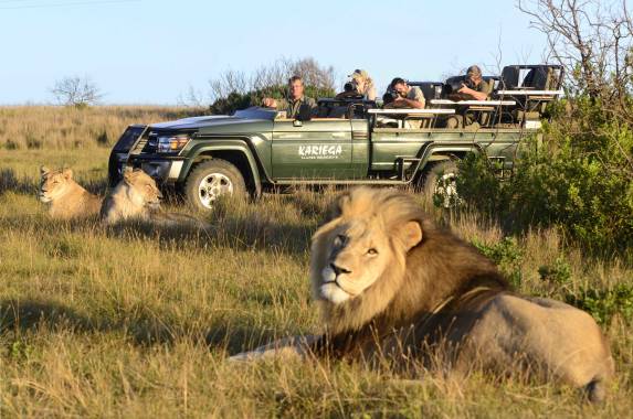 Best of the Garden Route – Premium Adventure