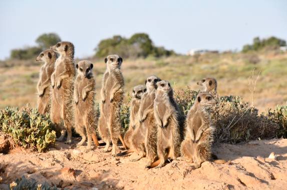 Discover South Africa’s Garden Route