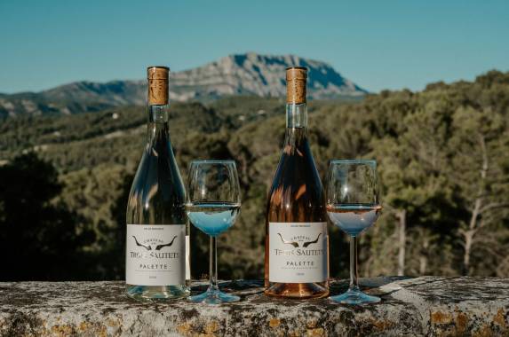 Discover Provence