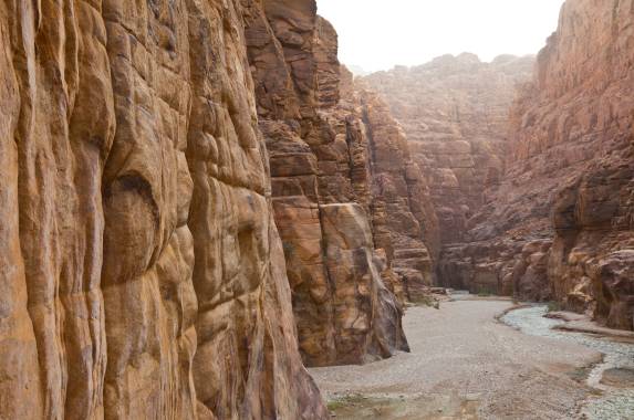 Signature Jordan | Stars and Desert Sands