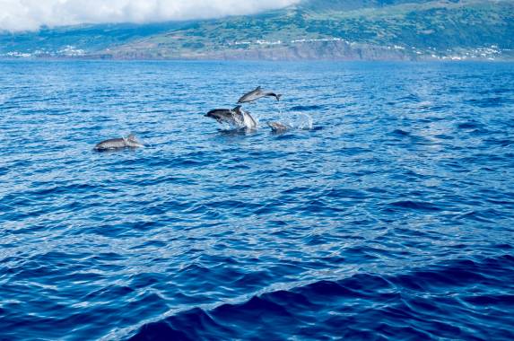 Azores Adventure