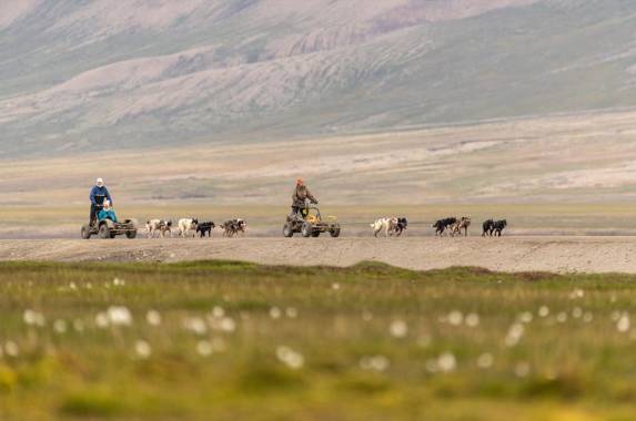 Svalbard Arctic Adventure – Polar Summer