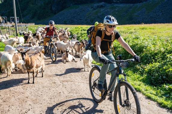 Norwegian Fjords Adventure