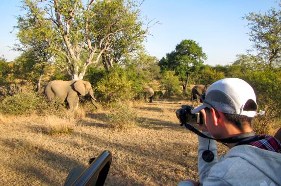Essential Kruger Safari – Family Adventure