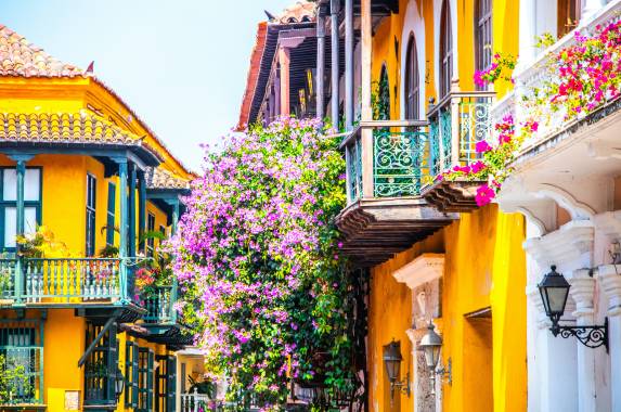 Signature Colombia | Stories Beneath Wax Palms