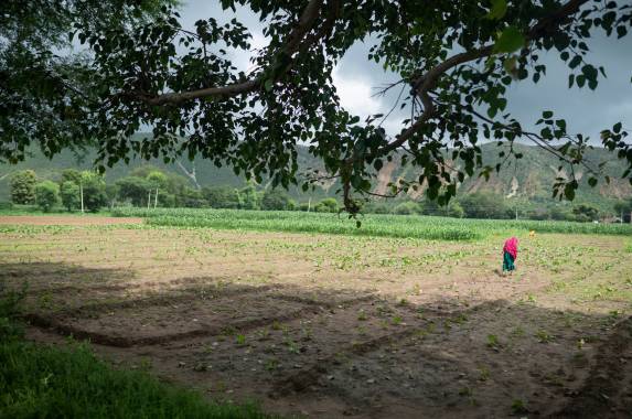 Rajasthan Highlights by Bike