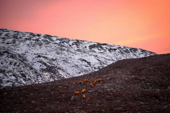 Canadian Arctic: Wildlife, Helicopters, & the Northwest Passage (Nuuk)