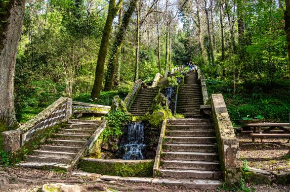 Bussaco National Forest