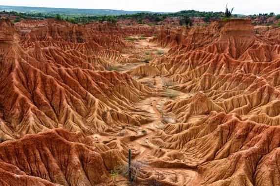 Tatacoa Desert