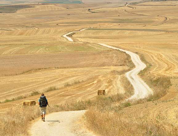 camino de santiago