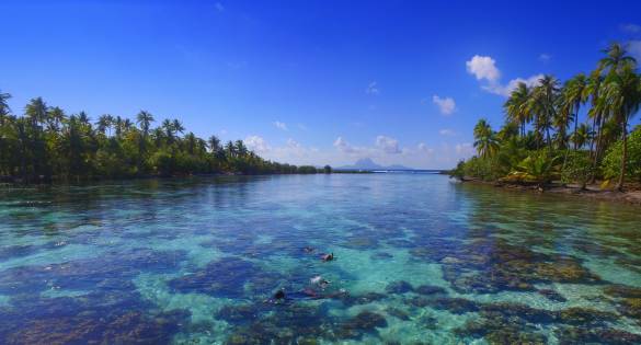 Chartering in Tahiti