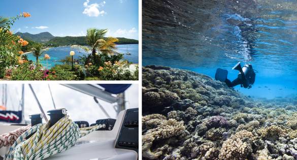 Diving in Martinique