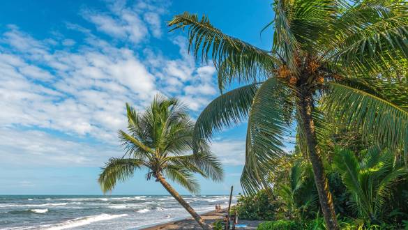 Erleben Sie die wundersame Natur in Costa Rica
