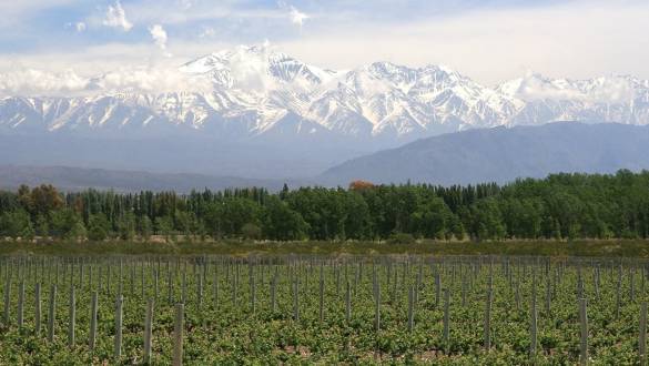 Visit Vine growing region Mendoza Argentina Vacation