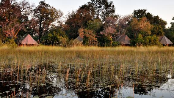 Botswana Safari: Your Wildest Dreams