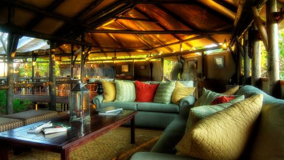 Botswana Safari: Your Wildest Dreams
