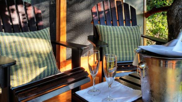 Botswana Safari: Your Wildest Dreams