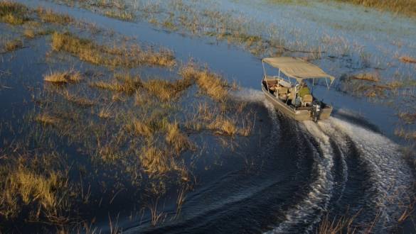 Botswana Safari: Your Wildest Dreams