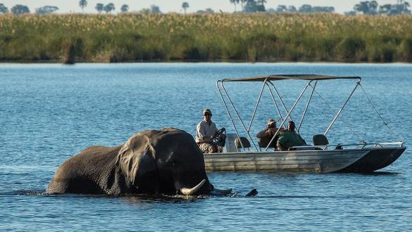 Linyati Wildlife Reserve Dumatau Camp, Okavango Delta, Botswana Tours, Africa