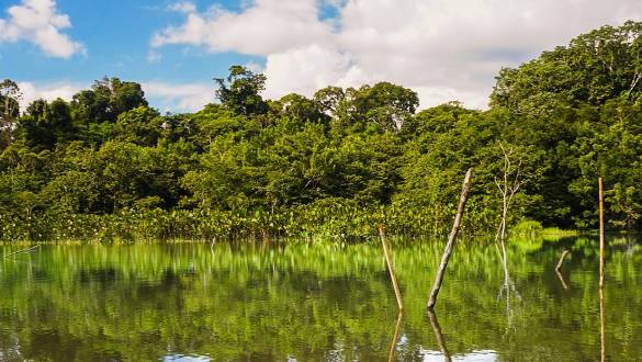 Enchanting Travels Ecuador Tours Amazon Yasuni National Park
