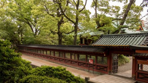 The grounds around Nezu shrine