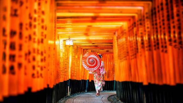 Torii gates at the Fushimi Inara shrine