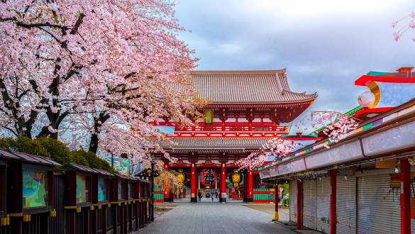 Sensoji Temple in Tokyo