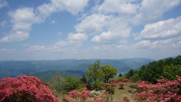 View from Mount Hiei in Kyoto Prefecture