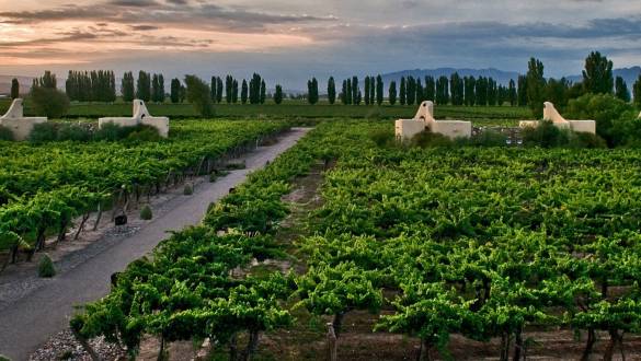 Cavas Wine Lodge Mendoza Argentina Tour
