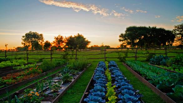 Our top 10 Haciendas and Estancias in Argentina, Chile and Uruguay